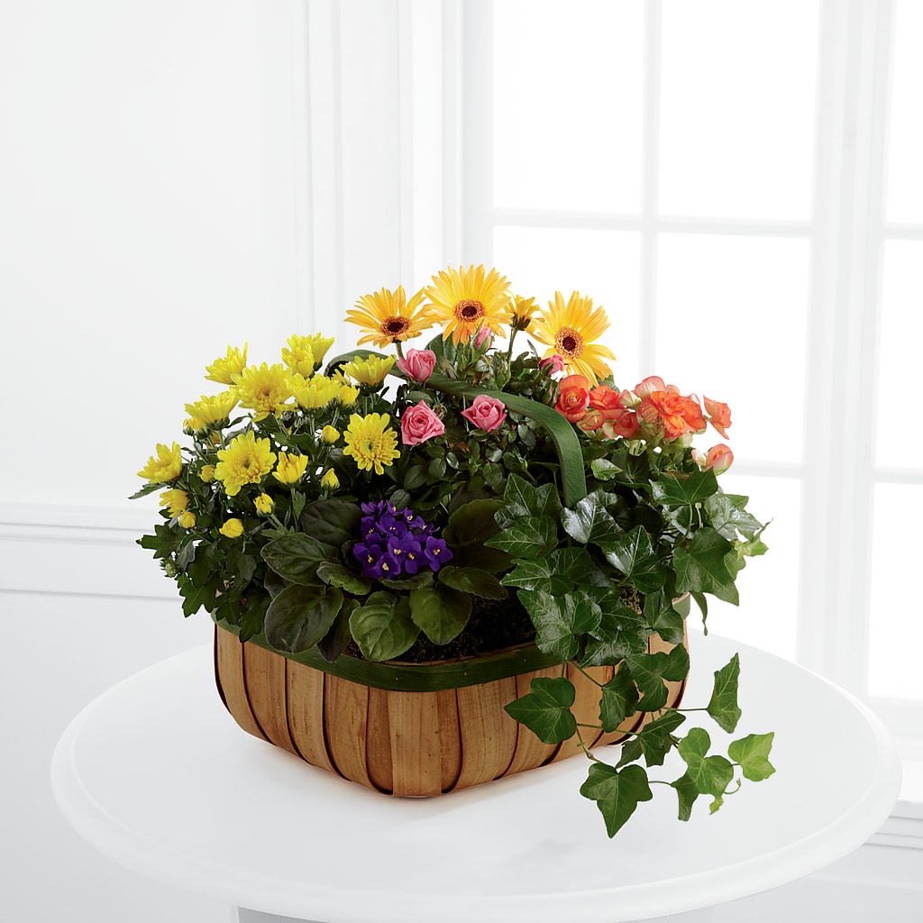 Gentle Blossoms Basket – Blossom Avenue, Orangevale CA