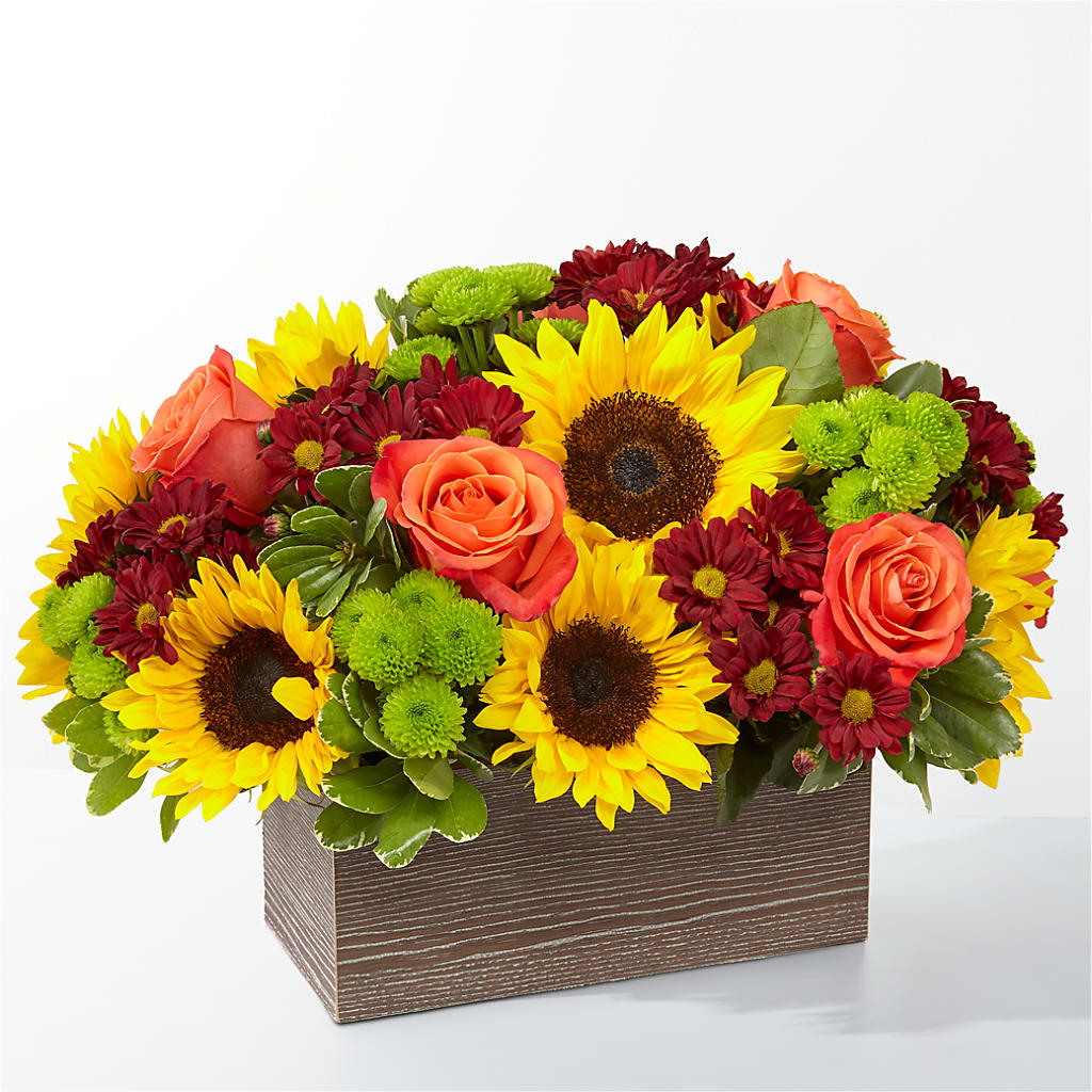 Happy Harvest Garden – Blossom Avenue, Orangevale CA