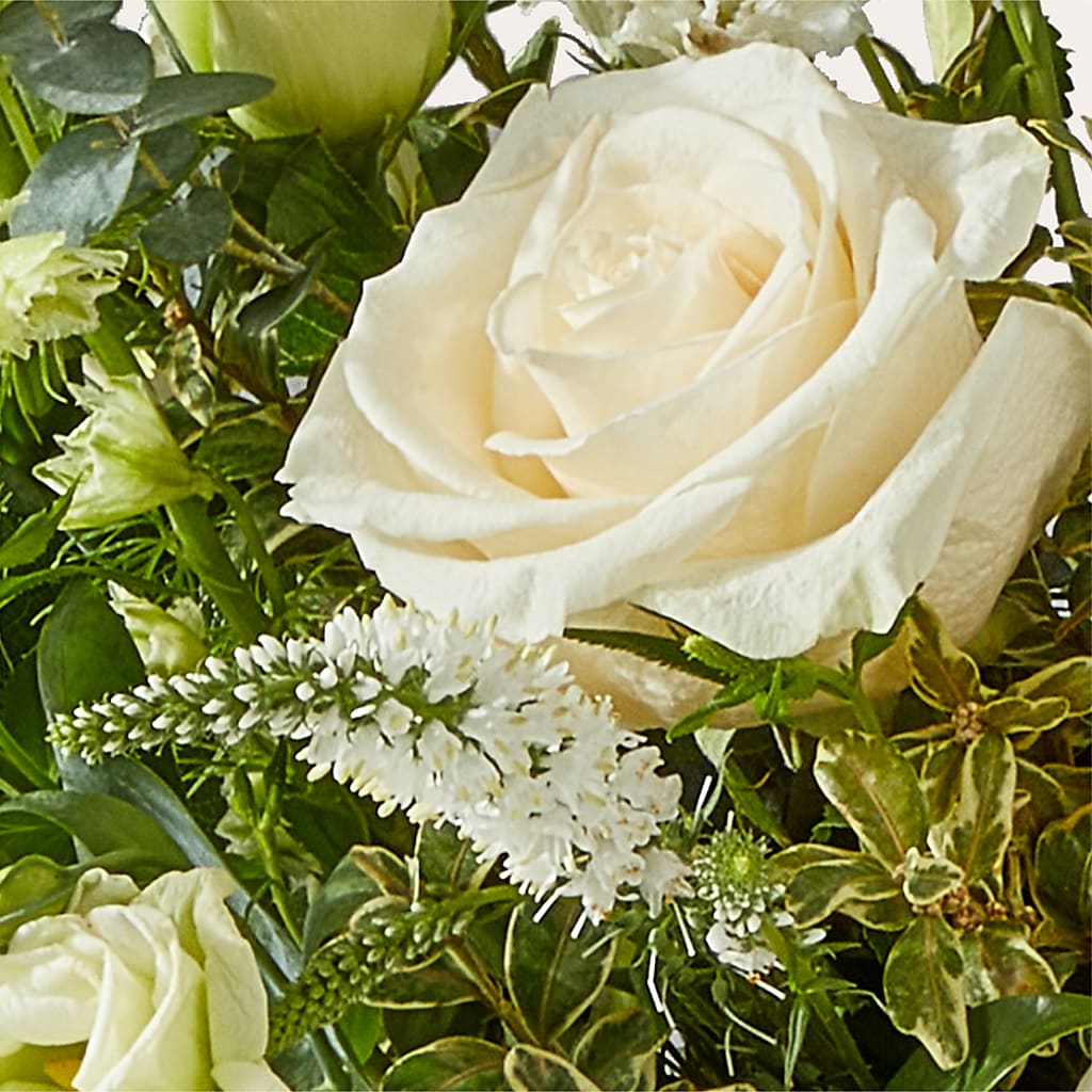 Cashmere Bouquet –  Blossom Avenue, Orangevale CA