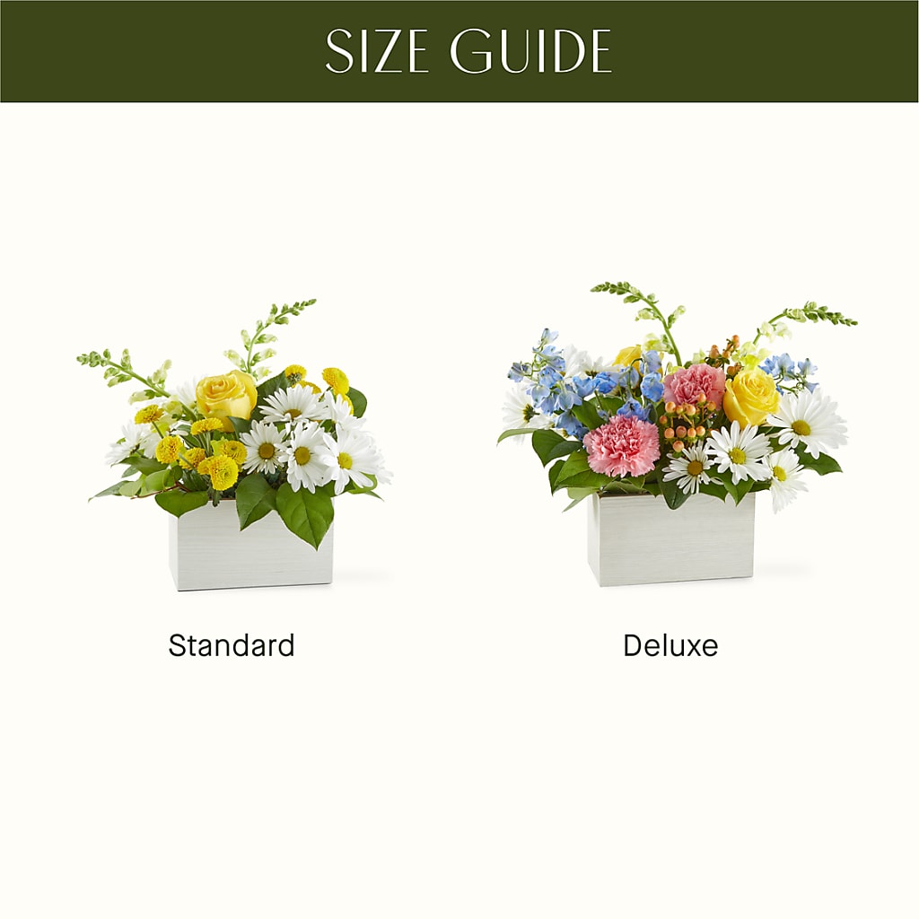 Sun Salutation Box Bouquet –  Blossom Avenue, Orangevale CA