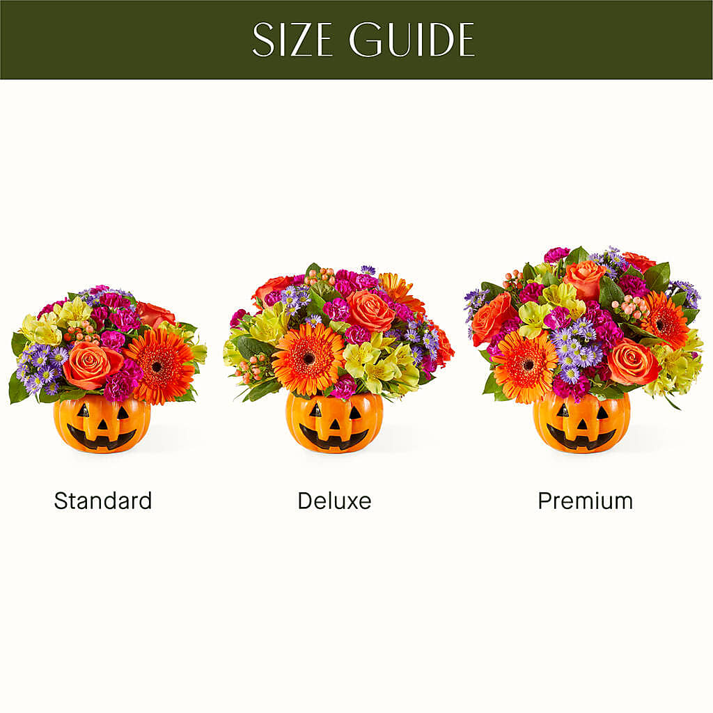 Tricks & Treats Pumpkin –  Blossom Avenue, Orangevale CA