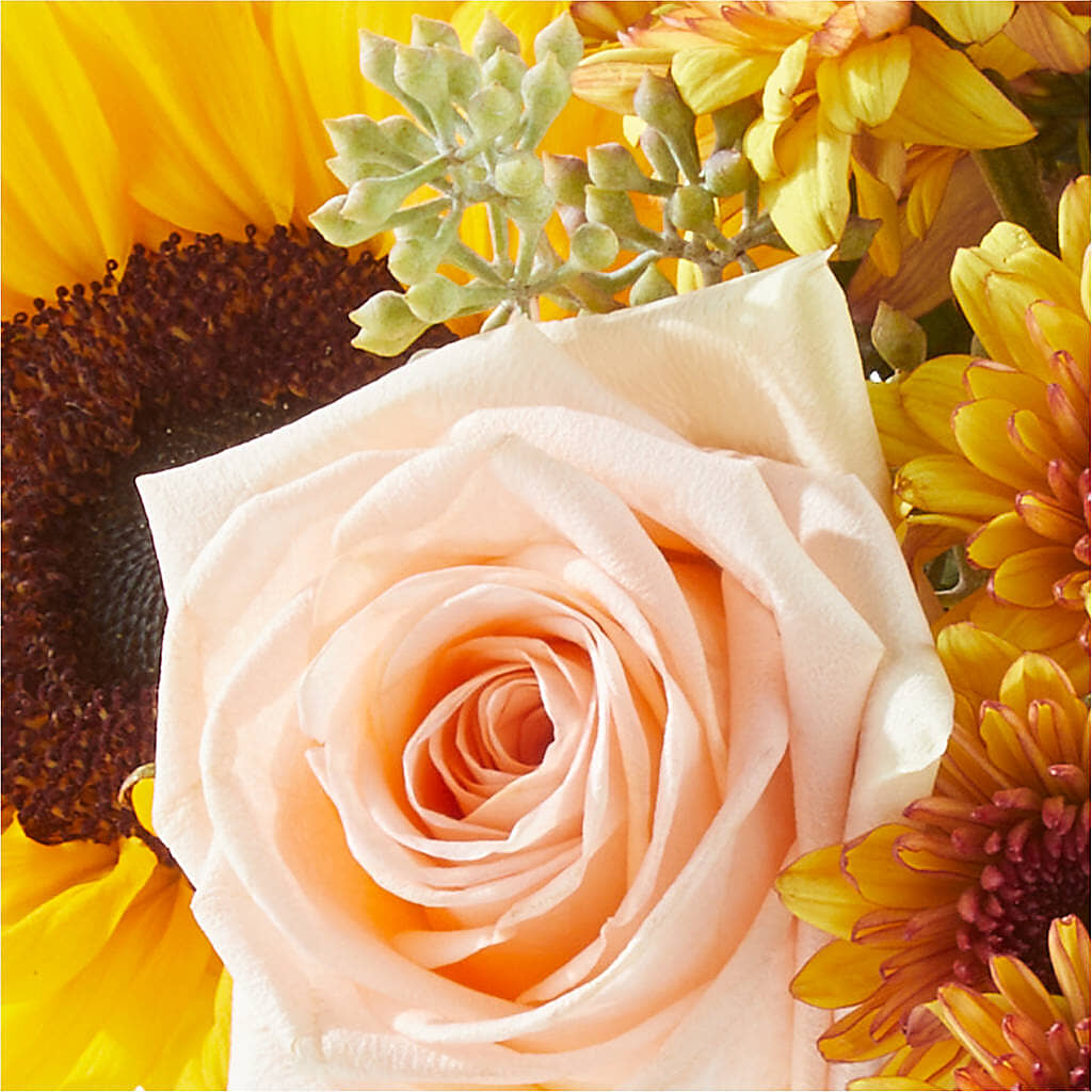 Pumpkin to Talk About Bouquet –  Blossom Avenue, Orangevale CA