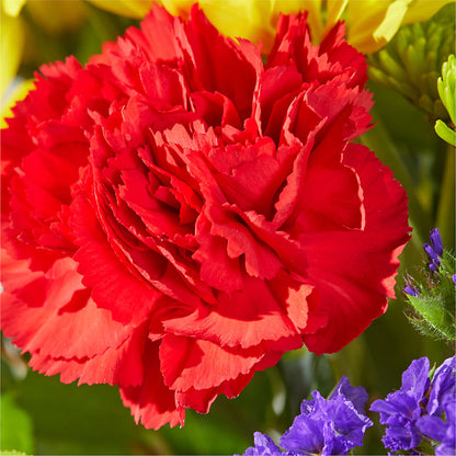 Brighter Days Bouquet –  Blossom Avenue, Orangevale CA