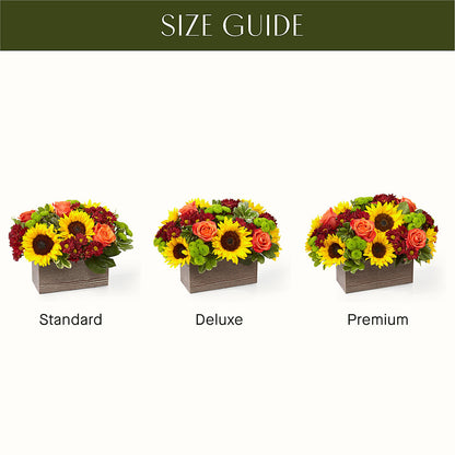 Happy Harvest Garden –  Blossom Avenue, Orangevale CA