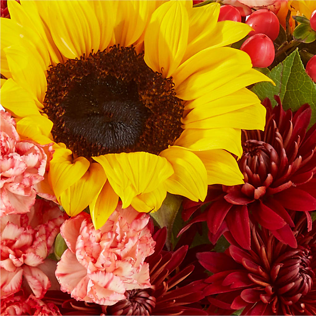 Fresh Cider Bouquet –  Blossom Avenue, Orangevale CA