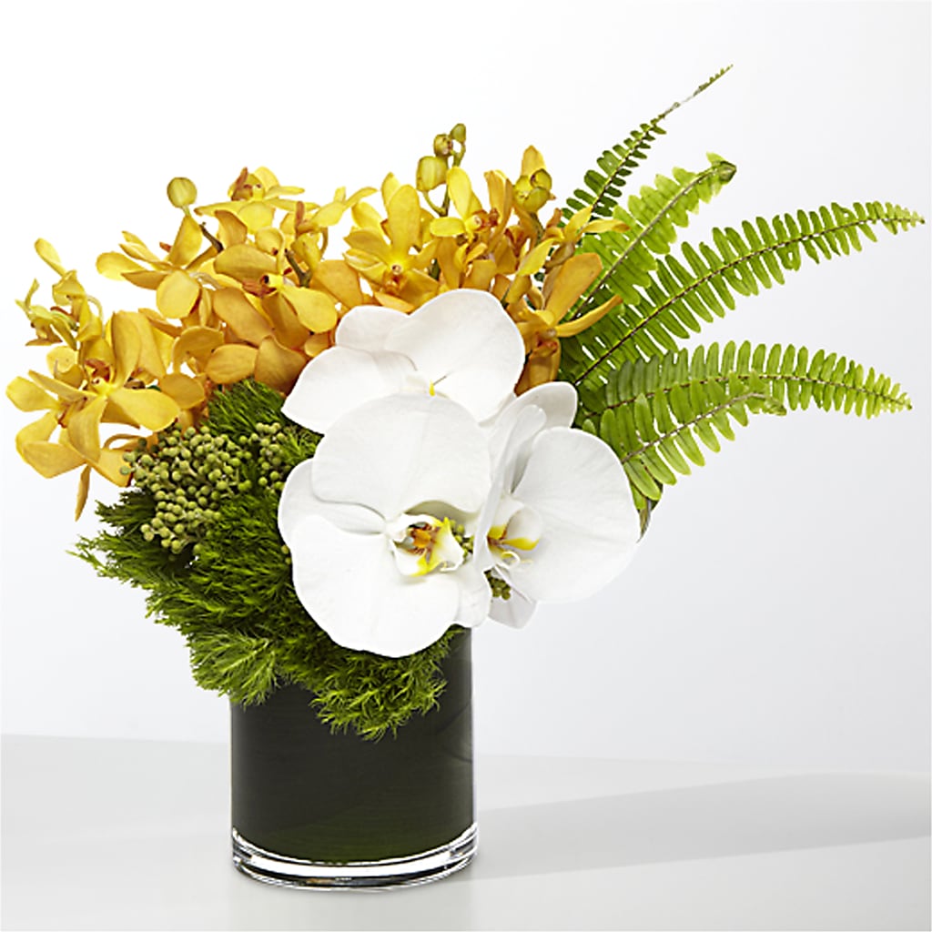 The Tropics –  Blossom Avenue, Orangevale CA