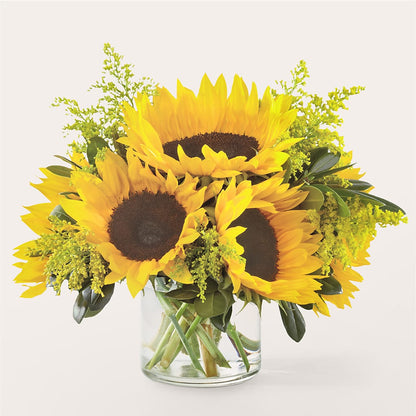 Ramo de Girasoles Radiantes