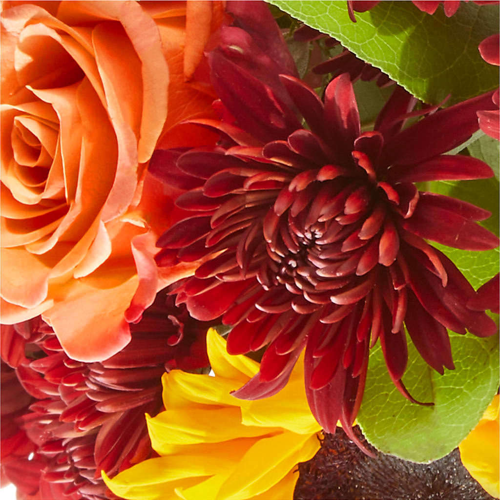 September Sunset Bouquet –  Blossom Avenue, Orangevale CA