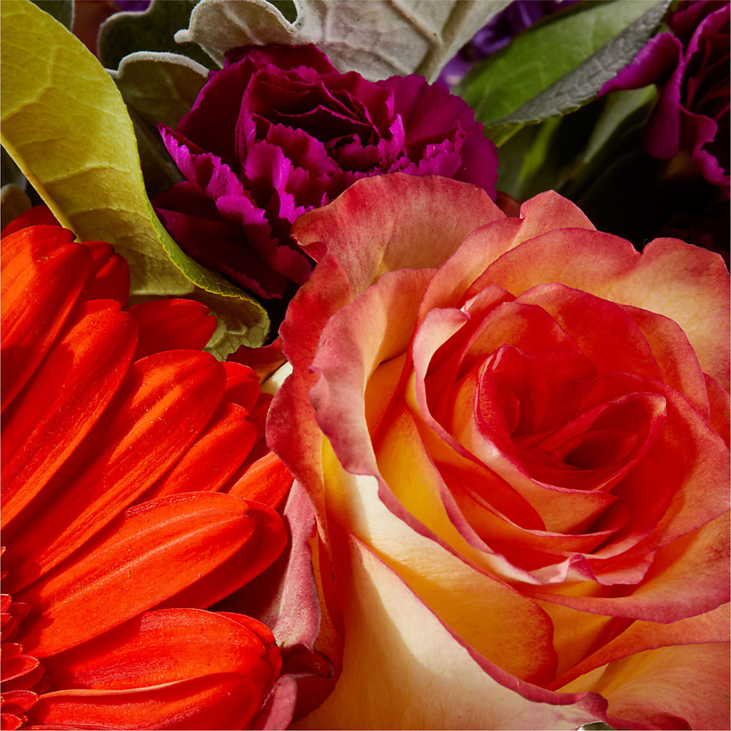 Sangria Bouquet –  Blossom Avenue, Orangevale CA