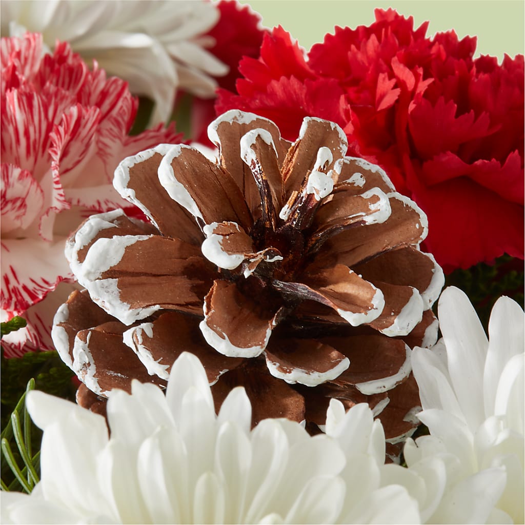 Candy Cane Lane Bouquet –  Blossom Avenue, Orangevale CA