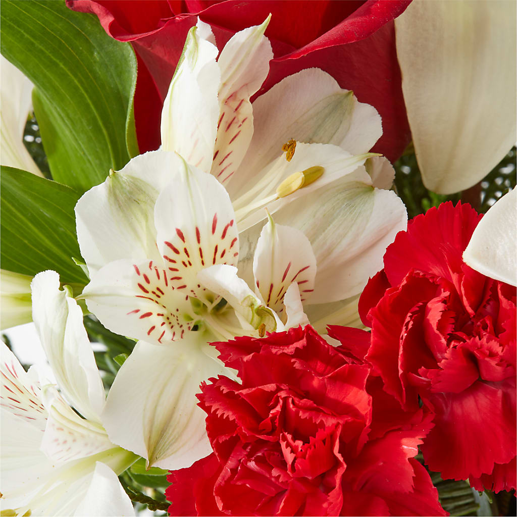 Holiday Season Bouquet –  Blossom Avenue, Orangevale CA