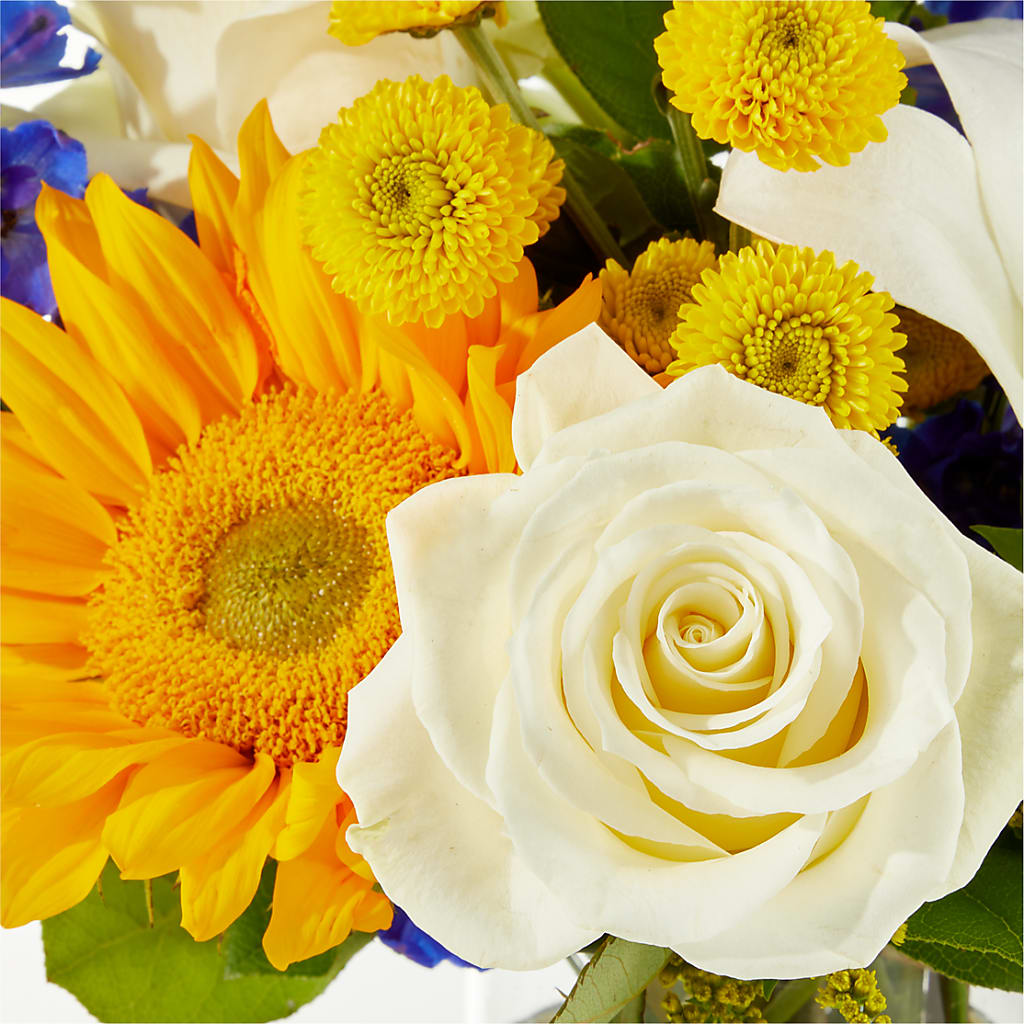 Stargazing Bouquet –  Blossom Avenue, Orangevale CA