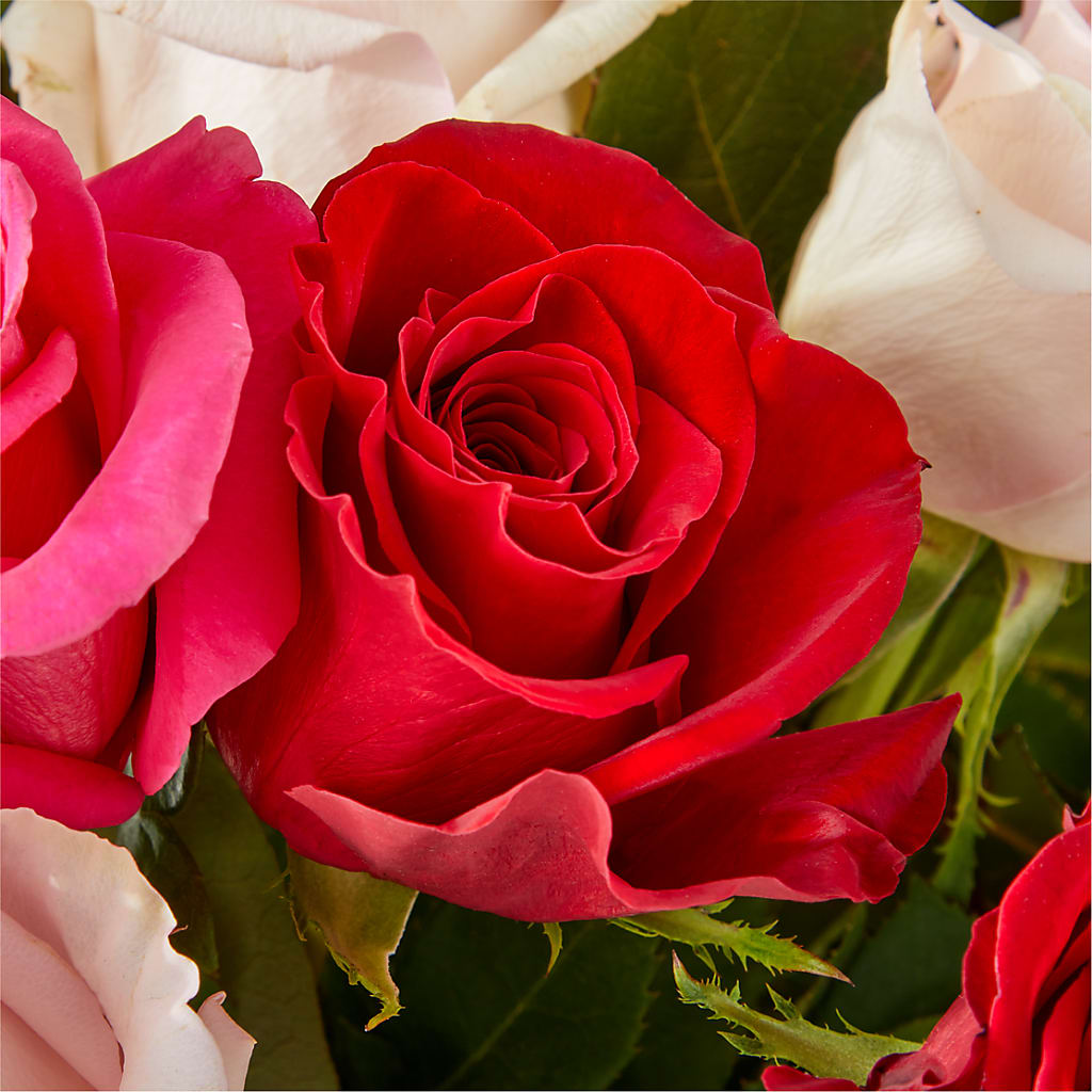 Charming Rose Bouquet –  Blossom Avenue, Orangevale CA