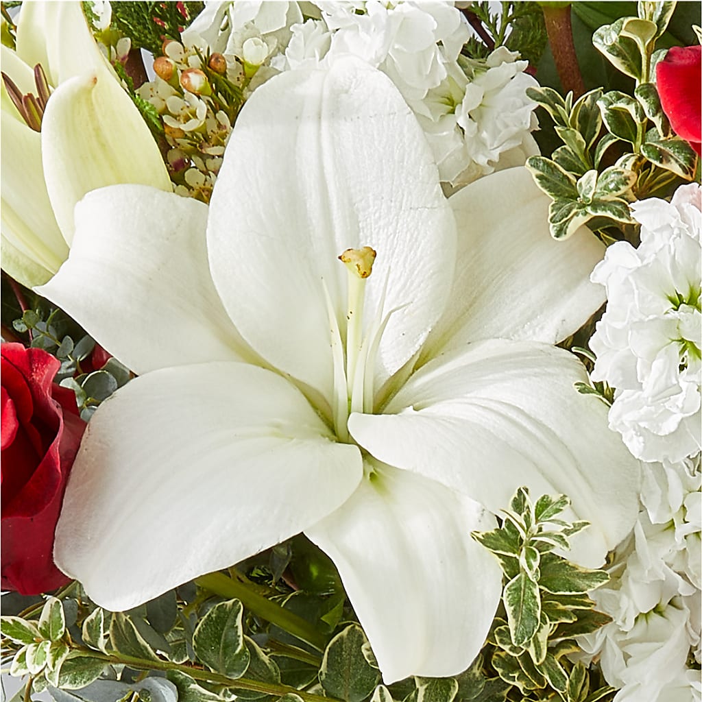 Twinkle Lights Bouquet –  Blossom Avenue, Orangevale CA