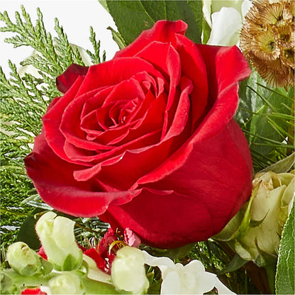 Deck the Halls Bouquet –  Blossom Avenue, Orangevale CA