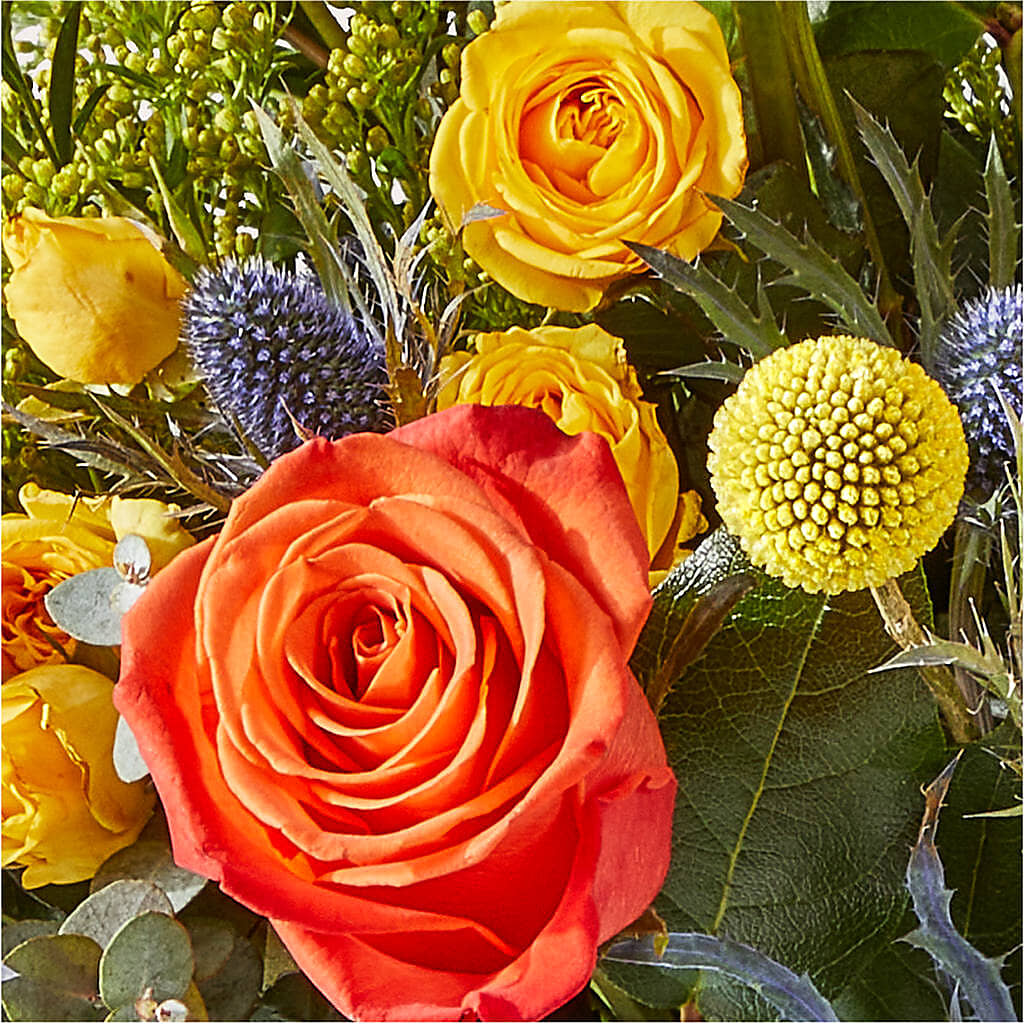 Disco Bouquet –  Blossom Avenue, Orangevale CA